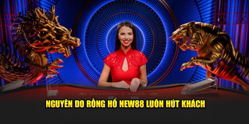 Nguyên do Rồng Hổ New88 luôn hút khách